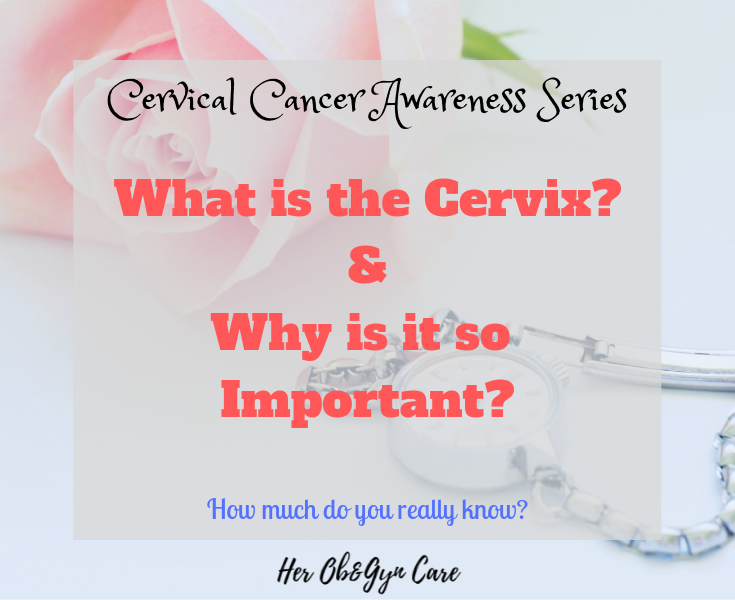 Title: What is the cervix and why is it so important?