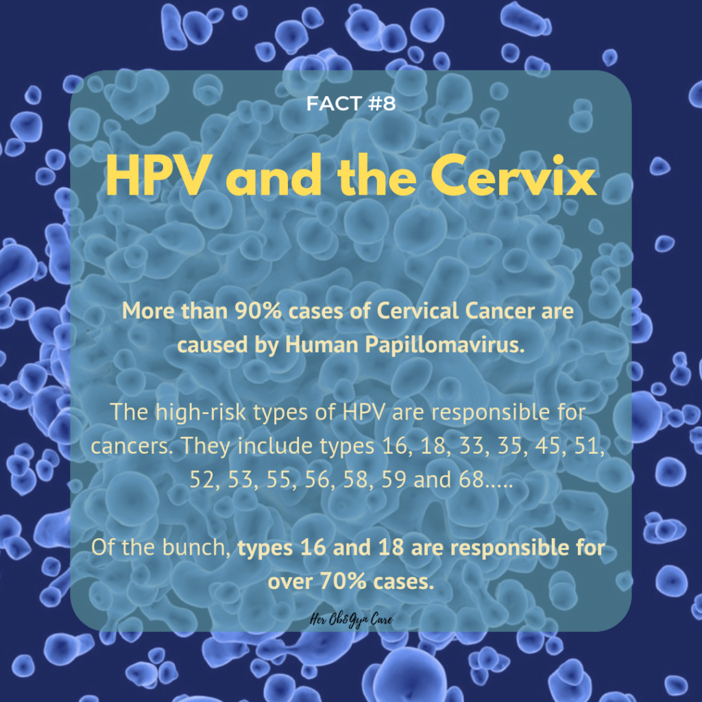 More than 90% cases of cervical cancer are caused by HPV especialy types 16 and 18