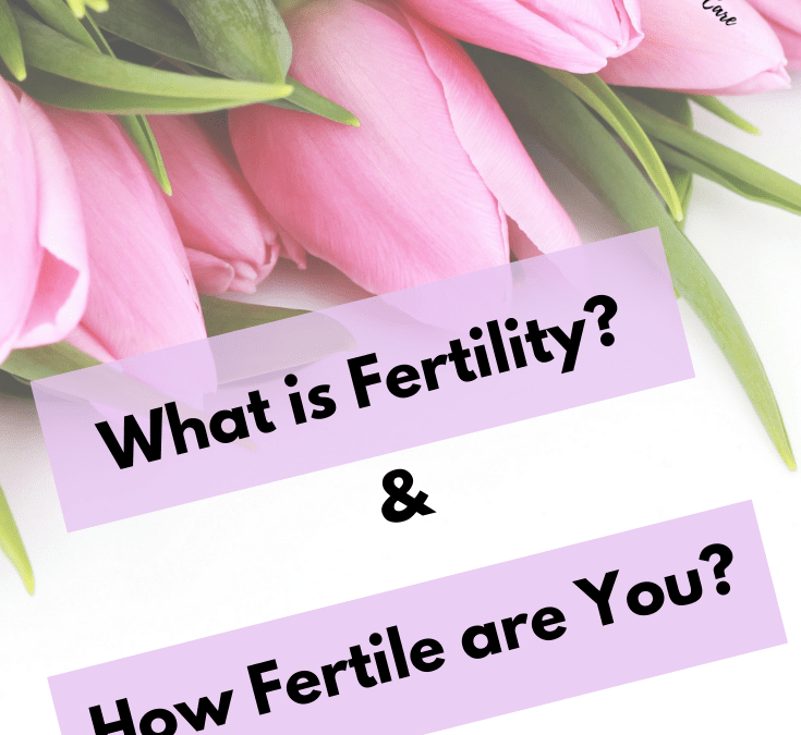 cover image for post what is fertility and ovulation and how to check how fertile you are